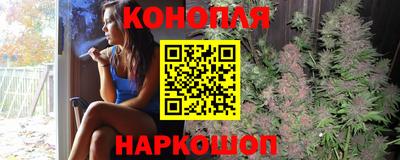дмт Будённовск