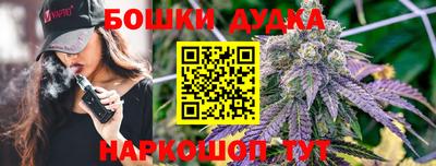 дмт Будённовск