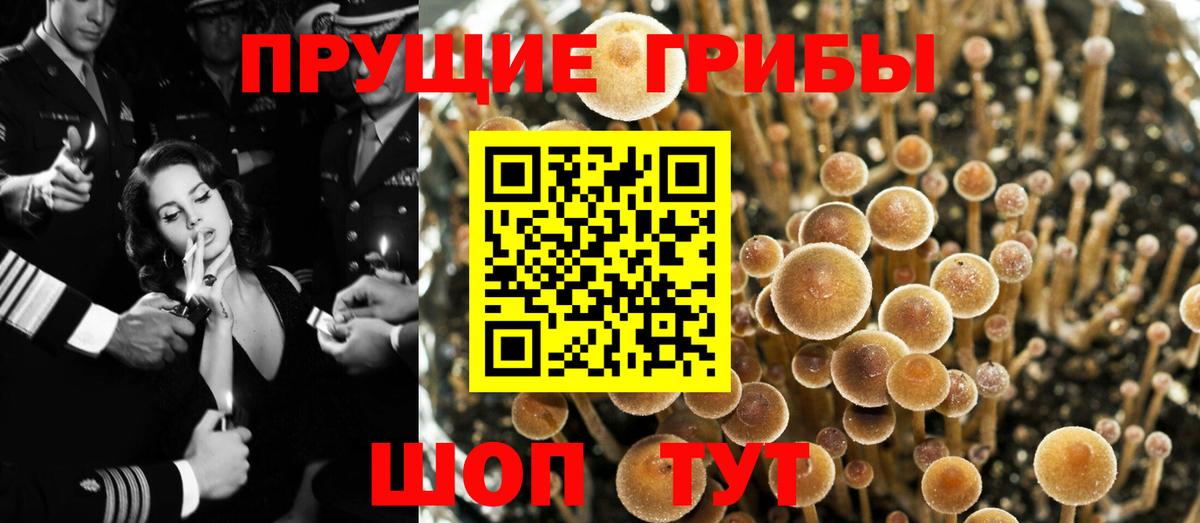 Галлюциногенные грибы Psilocybe  Вход с VPN  Ростов Великий  Псилоцибиновые грибы ЛСД 